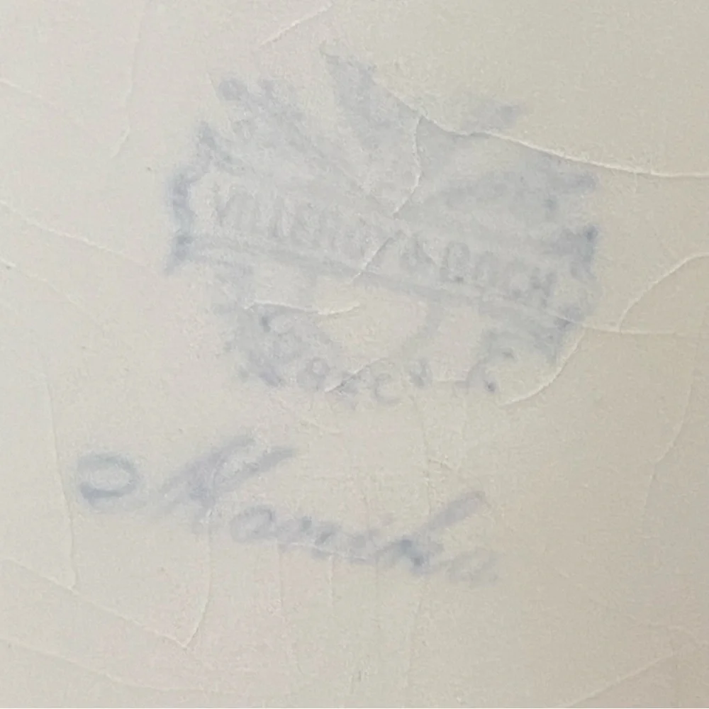 Villeroy & Boch beautiful white
